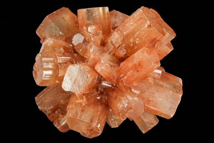 Aragonite Twinned Crystal Cluster - Morocco #122151